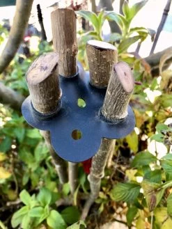 Garden Cane Connects, Set Of 6 -Pots - Planters Store 8609019 01V tif