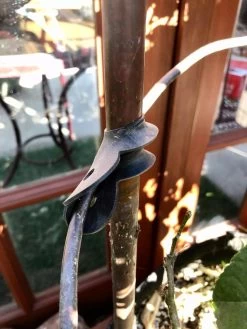 Garden Cane Connects, Set Of 6 -Pots - Planters Store 8609019 03V tif