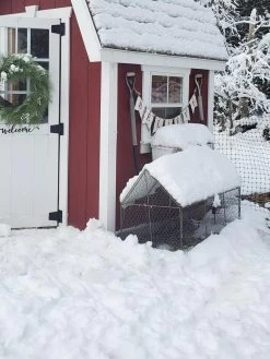 Chicken Wire Crop Coop -Pots - Planters Store 8609080 03IN tif