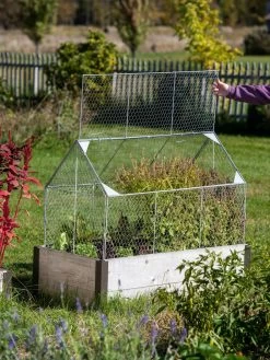 Chicken Wire Crop Coop -Pots - Planters Store 8609080 4024