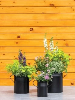 Metal Bucket Planters -Pots - Planters Store 8609085 0460 tif