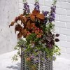 Galvanized Grow Bag Planter 12" -Pots - Planters Store 8609177 5570 tif
