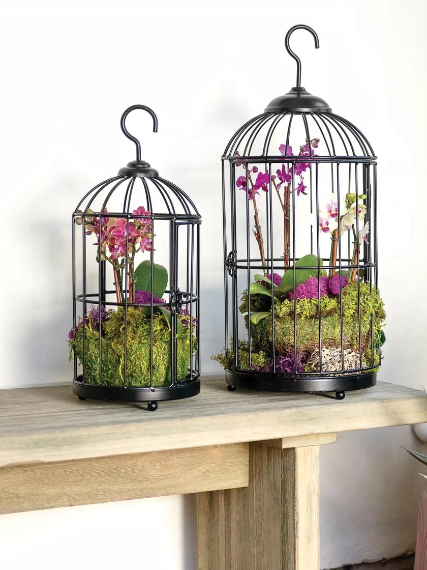 Hanging Birdcage Planter Set 4 Hanging Birdcage Planter Set - Image 2