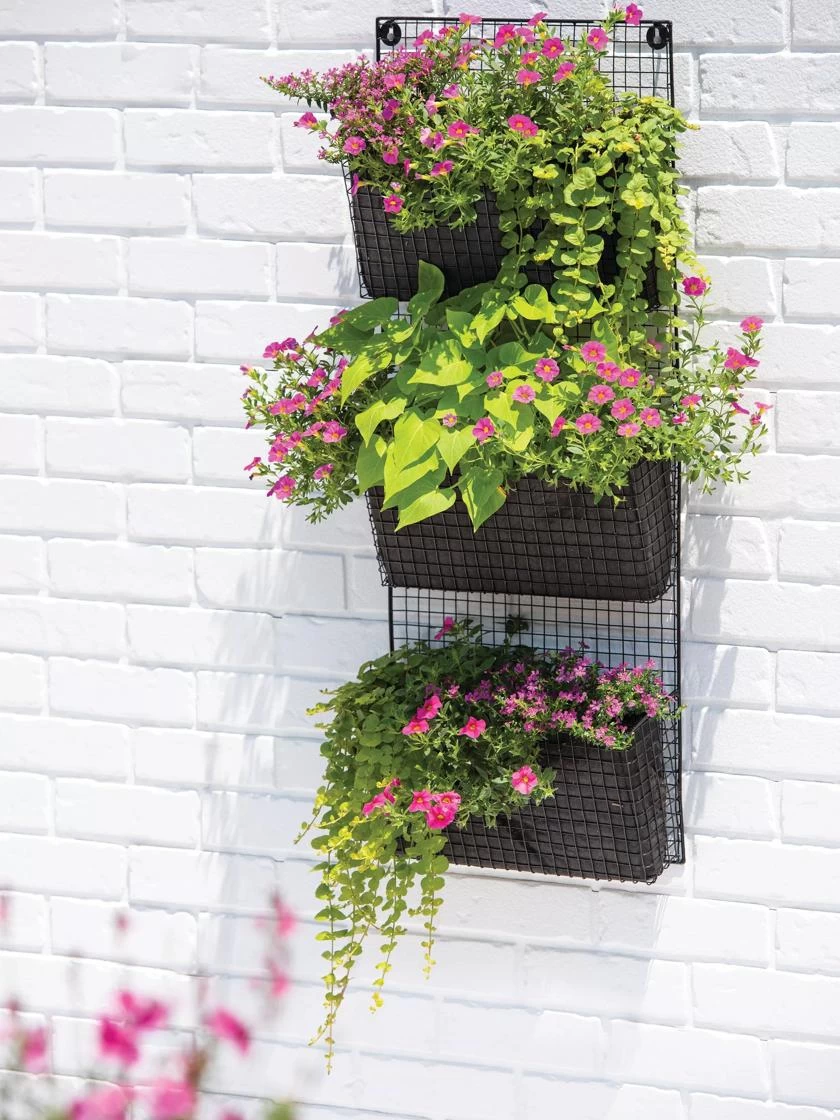 Wire Wall Pockets Vertical Gardens 3 Wire Wall Pockets Vertical Gardens