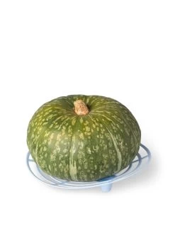 Melon And Squash Cradles, Set Of 6 -Pots - Planters Store 8609464 5204 tif