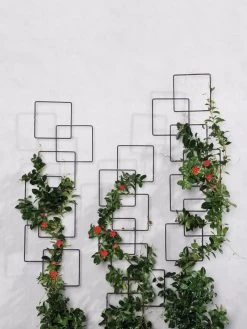 Building Blocks Wall Trellis, 45" -Pots - Planters Store 8610183 5811 tif