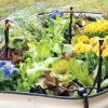 Raised Bed Bubblers Irrigation Kit -Pots - Planters Store 8610220 1172 tif