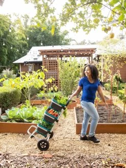 Mod Hod Trolley With Teal Mod Hods 9 Mod Hod Trolley With Teal Mod Hods -Pots - Planters Store 8610240 0070 tif