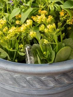 Adjustable Self-Watering Insert For Pots And Planters 21 Adjustable Self-Watering Insert For Pots And Planters -Pots - Planters Store 8610250 0010 tif