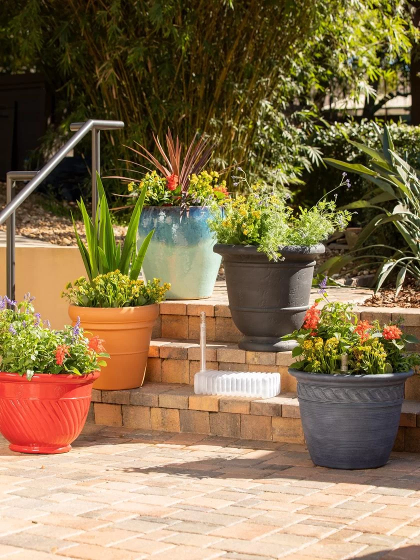 Adjustable Self-Watering Insert For Pots And Planters 4 Adjustable Self-Watering Insert For Pots And Planters - Image 2