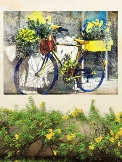 Blue And Yellow Bike Outdoor Wall Art, -Pots - Planters Store 8610268 02v