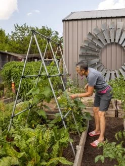 Connector Kit For DIY A Frame Plant Support 13 Connector Kit For DIY A Frame Plant Support -Pots - Planters Store 8610366 7584 tif