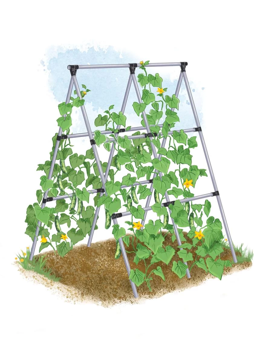 Connector Kit For DIY A Frame Plant Support 4 Connector Kit For DIY A Frame Plant Support - Image 2