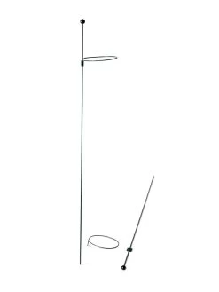 Peacock Mini Plant Support Rings 4", Set Of 2 14 Peacock Mini Plant Support Rings 4", Set Of 2 -Pots - Planters Store 8610386 9566