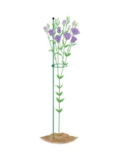 Peacock Mini Plant Support Rings 4", Set Of 2 12 Peacock Mini Plant Support Rings 4", Set Of 2 -Pots - Planters Store 8610386 peacock4x36