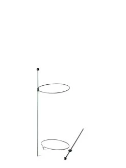 Peacock Mini Plant Support Rings 8", Set Of 2 -Pots - Planters Store 8610387 9571 tif