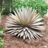 Desert Steel Yucca Plant Sculpture 1 Desert Steel Yucca Plant Sculpture -Pots - Planters Store 8610744 03v desert steel yucca plant