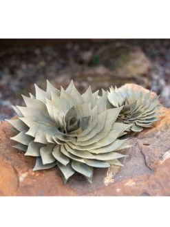 Desert Steel Spiral Aloe Sculpture -Pots - Planters Store 8610749 03v