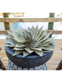 Desert Steel Spiral Aloe Sculpture -Pots - Planters Store 8610750 02v