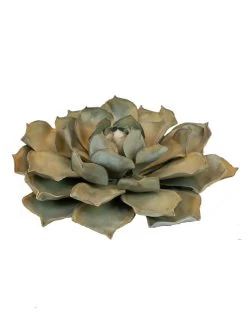 Desert Steel Blue Rose Succulent Sculpture -Pots - Planters Store 8610763 01v desert steel blue rose succulent small
