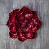 Desert Steel Ruby Rose Succulent Sculpture, Small