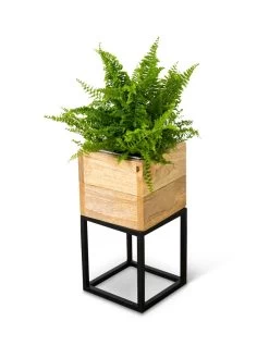 Tartu Elevated Square Planters 19 Tartu Elevated Square Planters -Pots - Planters Store 8611004 038