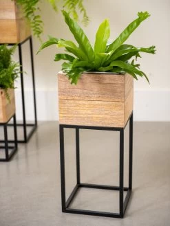 Tartu Elevated Square Planters 15 Tartu Elevated Square Planters -Pots - Planters Store 8611005 035