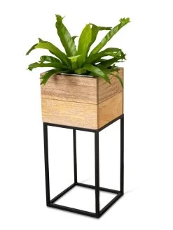 Tartu Elevated Square Planters 20 Tartu Elevated Square Planters -Pots - Planters Store 8611005 036