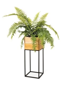 Tartu Elevated Square Planters 18 Tartu Elevated Square Planters -Pots - Planters Store 8611006 033