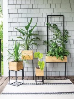 Tartu Elevated Square Planters 17 Tartu Elevated Square Planters -Pots - Planters Store 8611007 022