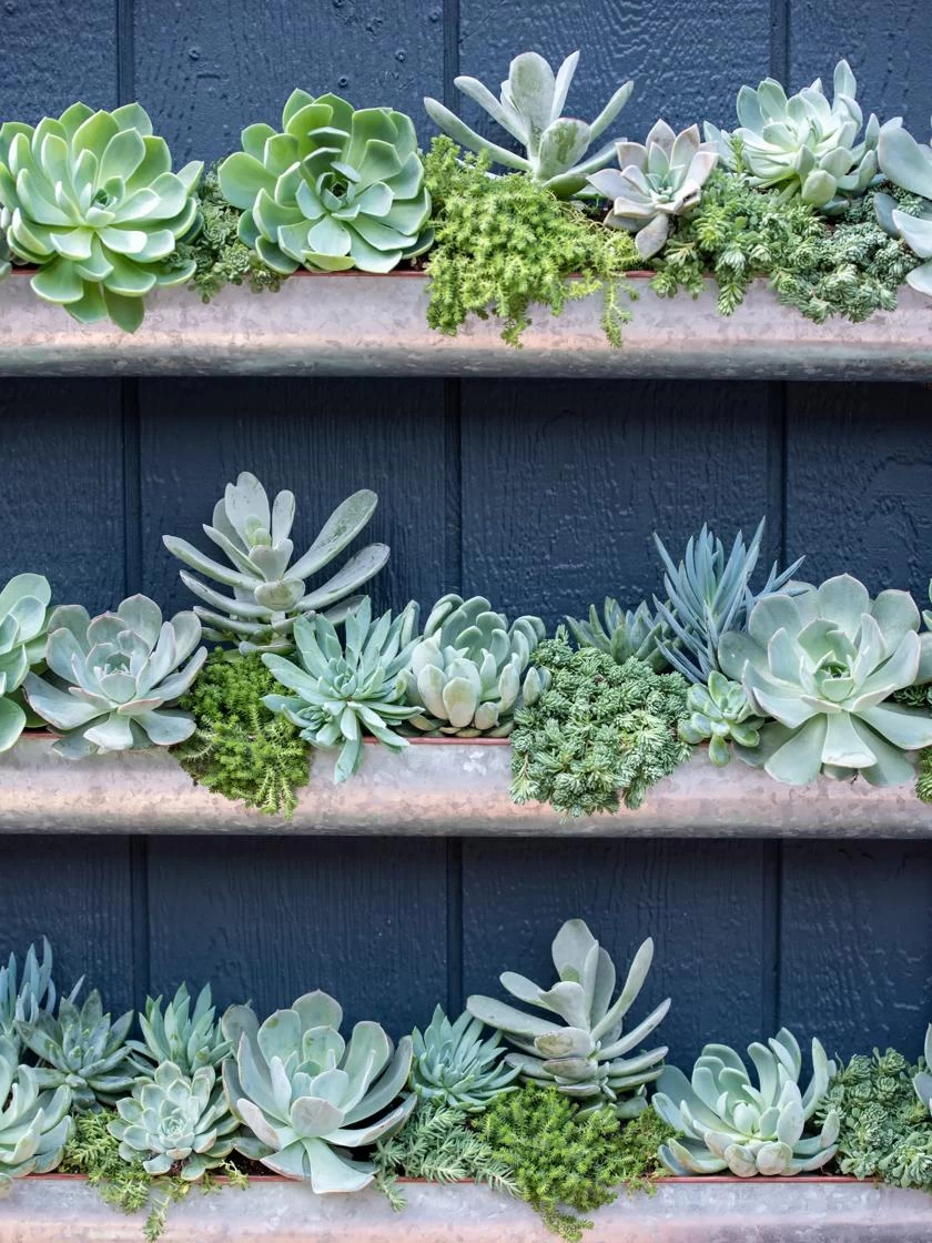 3-Tier Vertical Wall Planter, 3' 6 3-Tier Vertical Wall Planter, 3' - Image 4