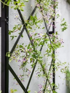 Lattice Gable Wall Trellis 8 Lattice Gable Wall Trellis -Pots - Planters Store 8611130 011