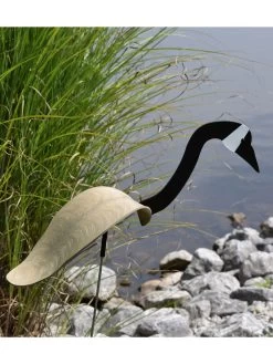 Florida Dancing Birds®, Canada Goose -Pots - Planters Store 8611633 02v