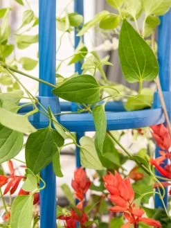 Fleur De Lis Obelisk, 67" 9 Fleur De Lis Obelisk, 67" -Pots - Planters Store 8611663 0607 tif