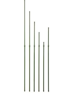 Titan Extendable Stakes, Set Of 6