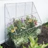 Chicken Wire Flat Back Crop Coop -Pots - Planters Store 8611701 142 tif