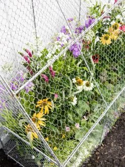 Chicken Wire Flat Back Crop Coop -Pots - Planters Store 8611701 153 tif