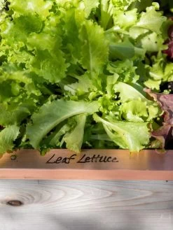 Re-Markable Raised Bed Trim -Pots - Planters Store 8611757 326 tif