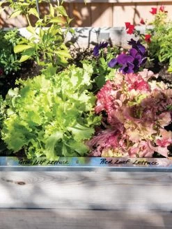 Re-Markable Raised Bed Trim -Pots - Planters Store 8611758 306 tif