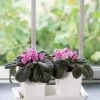 Stoneware Self-Watering Windowsill Planters, Set Of 2 2 Stoneware Self-Watering Windowsill Planters, Set Of 2 -Pots - Planters Store 8611890 4396 tif