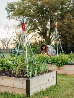 DIY Connector For Teepee Trellis 21 DIY Connector For Teepee Trellis -Pots - Planters Store 8611896 38 tif