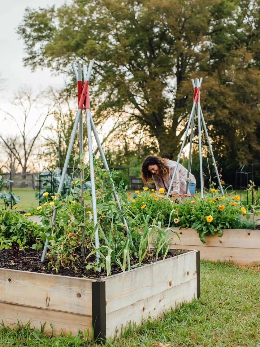 DIY Connector For Teepee Trellis 10 DIY Connector For Teepee Trellis - Image 8