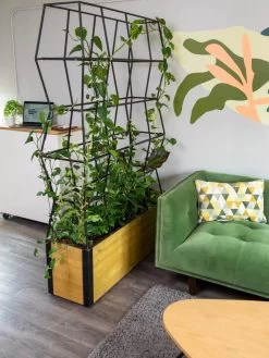 Self-Watering Partition Planter -Pots - Planters Store 8611952 001 tif