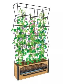 Self-Watering Partition Planter -Pots - Planters Store 8611952 art 3 4