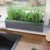 Provence Self-Watering Herb Planter -Pots - Planters Store 8611965 01V tif