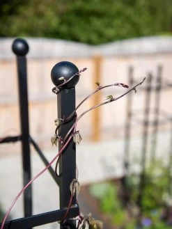 Essex Square Obelisk -Pots - Planters Store 8611984 278 tif