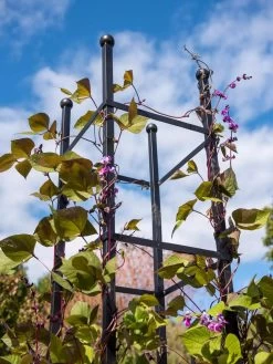 Essex Square Obelisk -Pots - Planters Store 8611984 354 tif