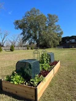 Pest Control Pop-Ups 14 Pest Control Pop-Ups -Pots - Planters Store 8611989 08 tif