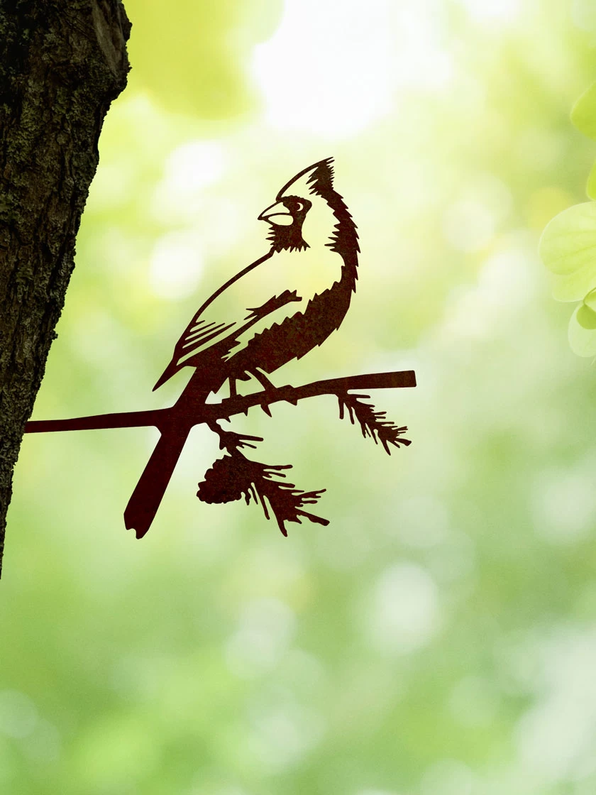 Metalbird Cardinal 3 Metalbird Cardinal