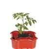 Deluxe Tomato Halos, Set Of 2 -Pots - Planters Store 8612045 2009 tif